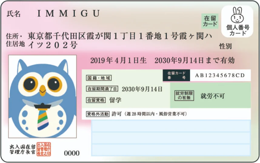 特定在留カードの券面イメージ
